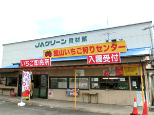 館山いちご狩りセンター。